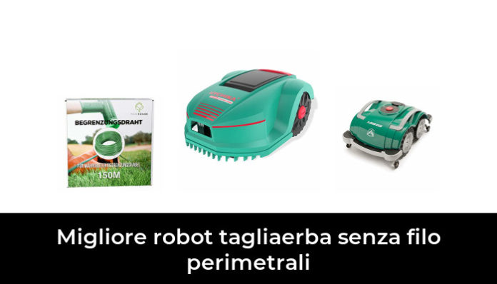 WONET Decespugliatore Tagliabordi a Batteria - 2 Batterie e Caricabatteria Inclusi, Taglio 25cm, Asta Regolabile e Leggero e Potente