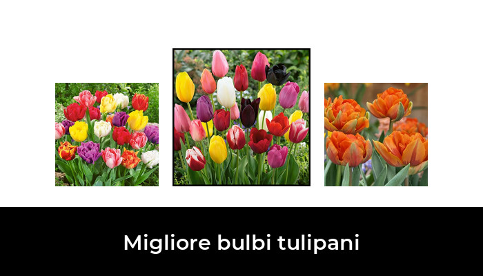 46 Migliore bulbi tulipani nel 2024 In base a 88 Recensioni