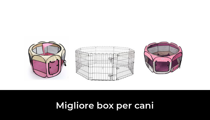 24 Migliore box per cani nel 2024 In base a 478 Recensioni