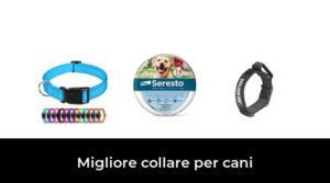 28 Migliore collare per cani nel 2023 In base a 796 Recensioni