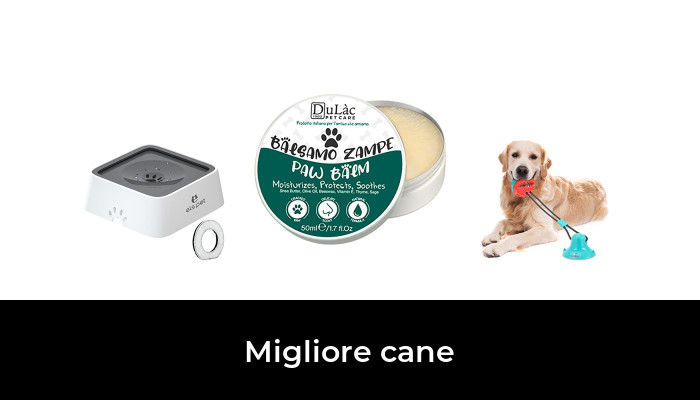 23 Migliore cane nel 2024 In base a 375 Recensioni