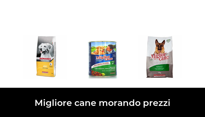 39 Migliore cane morando prezzi nel 2024 In base a 344 Recensioni